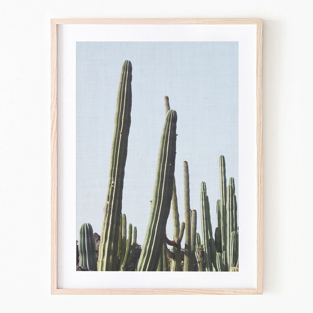 Digital - Desert Cactus
